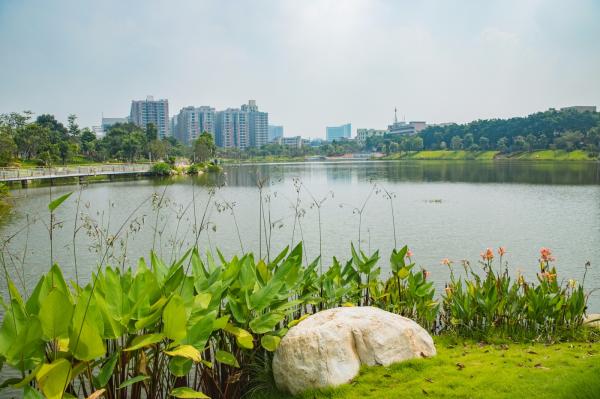 深圳万丰湖湿地公园
