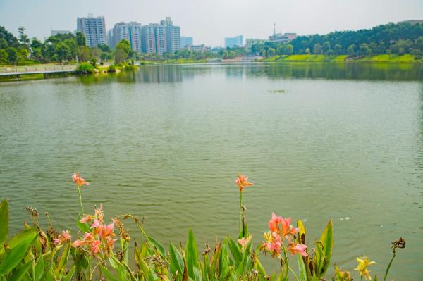 深圳万丰湖湿地公园