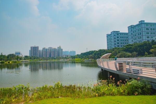 深圳万丰湖湿地公园