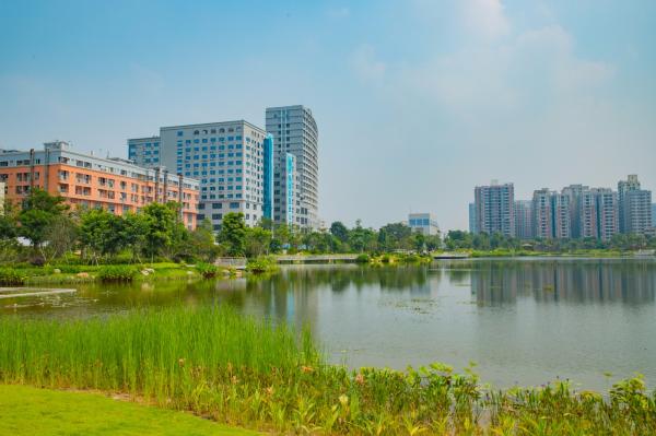 深圳万丰湖湿地公园