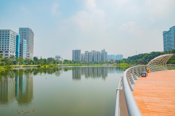 深圳万丰湖湿地公园