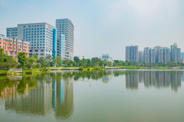 深圳万丰湖湿地公园