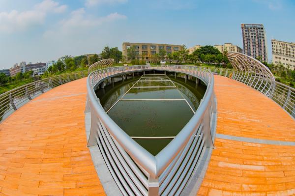 深圳万丰湖湿地公园