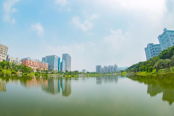 深圳万丰湖湿地公园