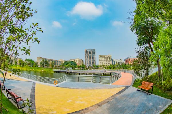 深圳万丰湖湿地公园