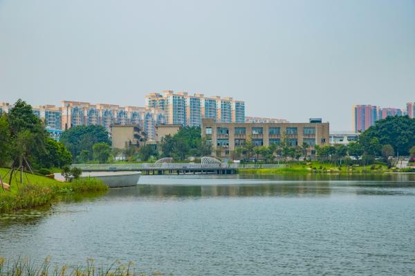 深圳万丰湖湿地公园