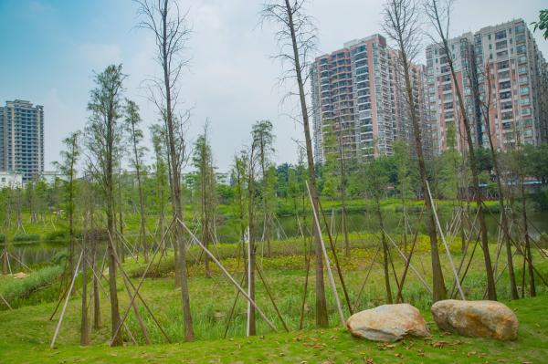 深圳万丰湖湿地公园