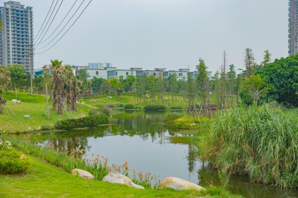 深圳万丰湖湿地公园