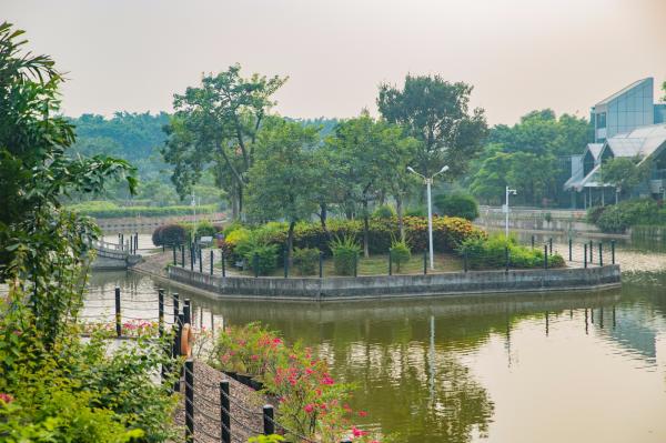 中山公园