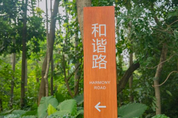 中山公园