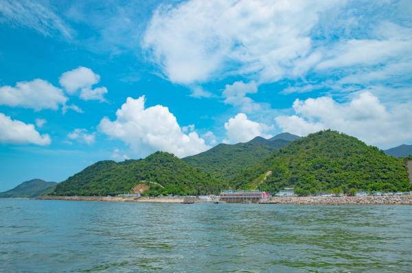 杨梅坑/鹿嘴山庄