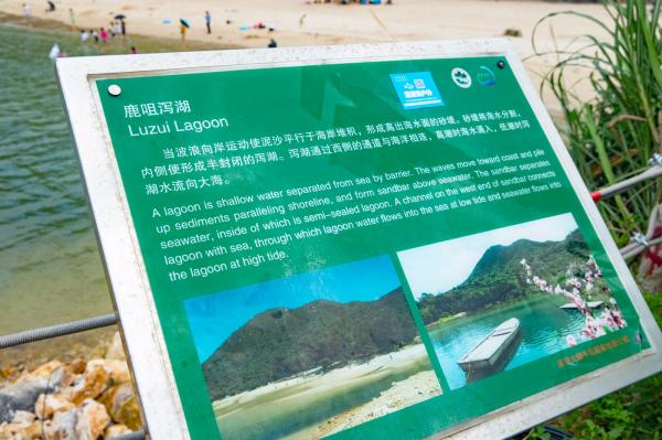 杨梅坑/鹿嘴山庄