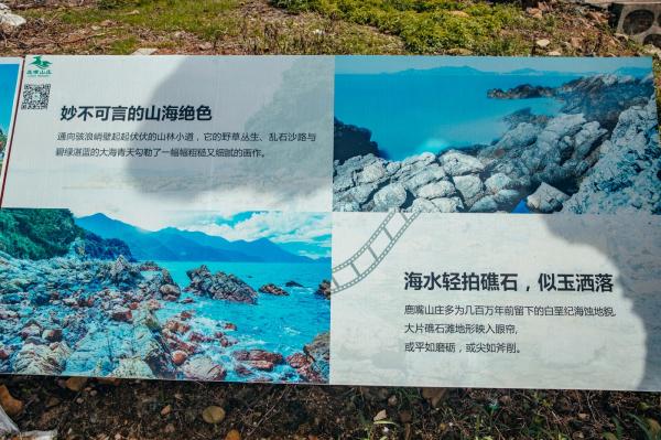 杨梅坑/鹿嘴山庄