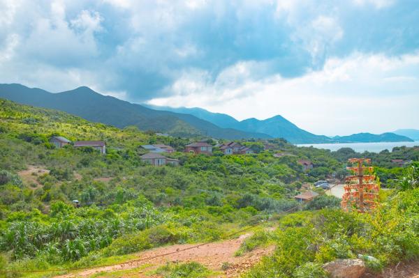 杨梅坑/鹿嘴山庄