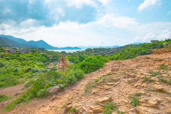 杨梅坑/鹿嘴山庄
