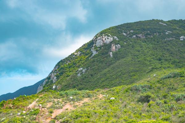 杨梅坑/鹿嘴山庄