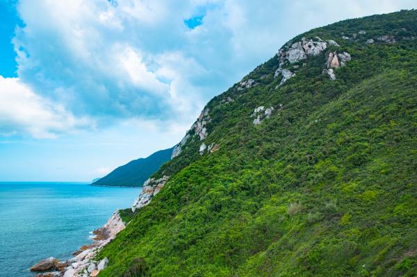 杨梅坑/鹿嘴山庄