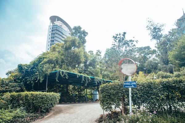 深圳南山公园(大南山）