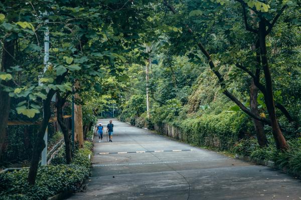 深圳南山公园(大南山）