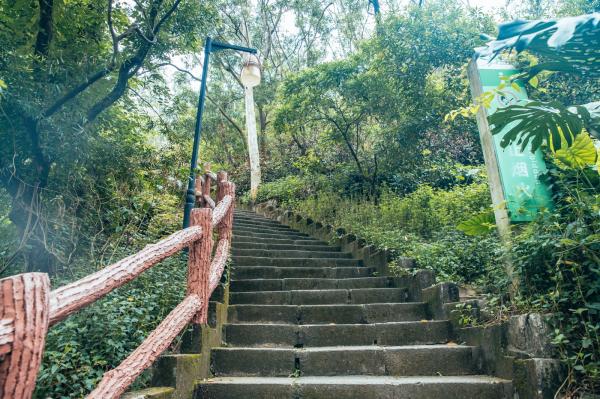 深圳南山公园(大南山）