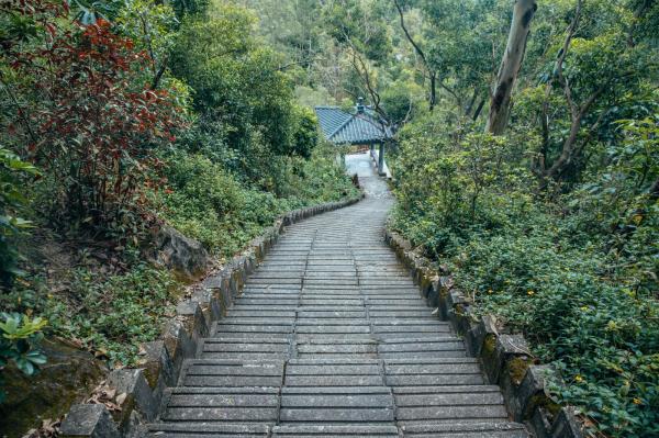 深圳南山公园(大南山）
