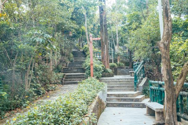 深圳南山公园(大南山）