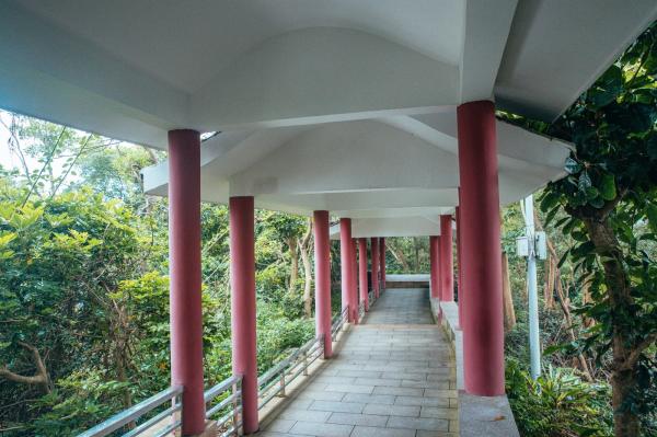 深圳南山公园(大南山）