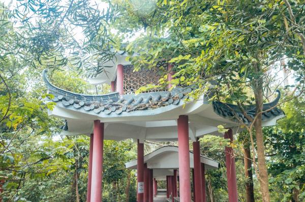 深圳南山公园(大南山）