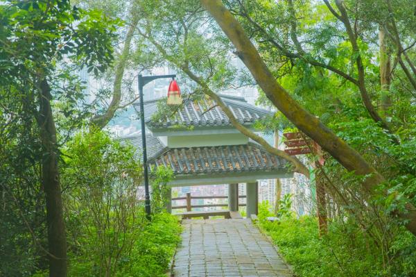 深圳南山公园(大南山）