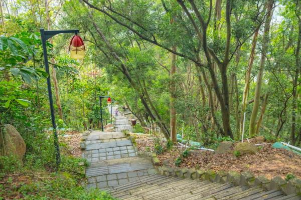 深圳南山公园(大南山）