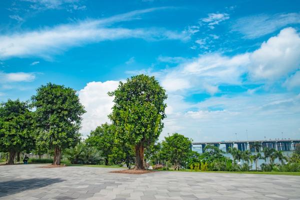 深圳前海石公园