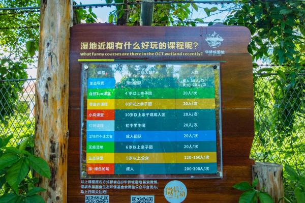 华侨城湿地公园