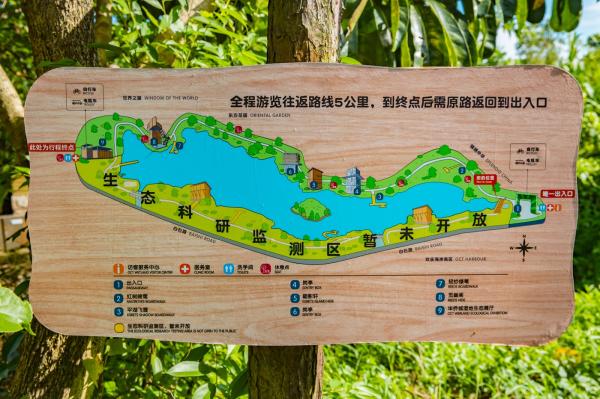 华侨城湿地公园