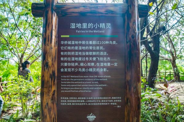 华侨城湿地公园