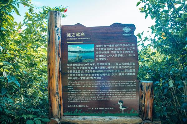 华侨城湿地公园