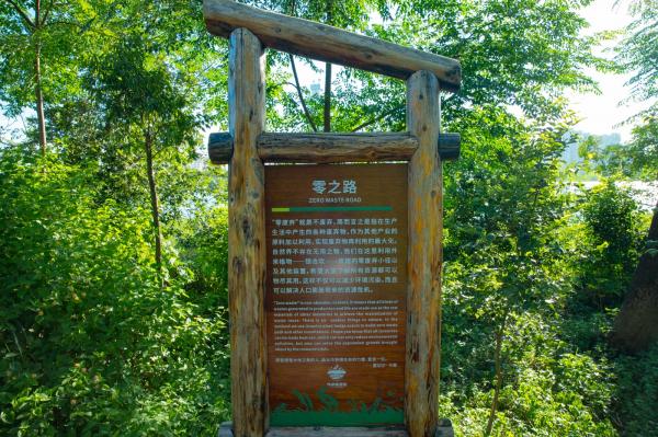 华侨城湿地公园