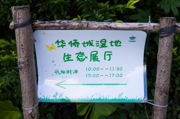 华侨城湿地公园