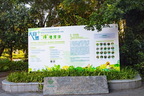 华侨城湿地公园