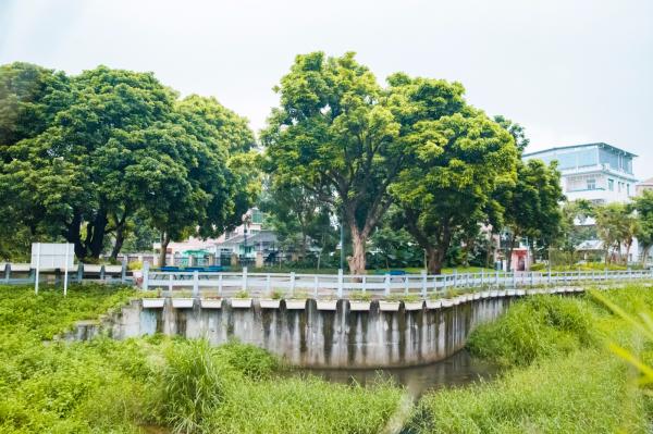 梧桐山艺术小镇