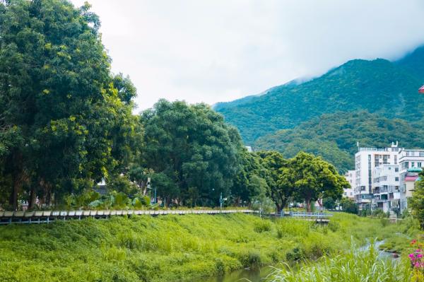 梧桐山艺术小镇