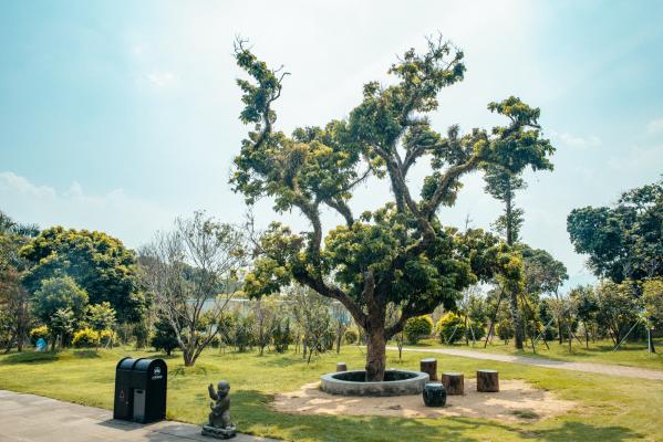 深圳大鹏东山寺