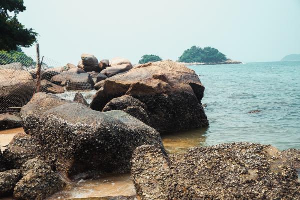 大澳湾沙滩