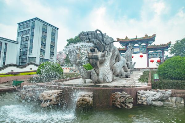 深圳龙园