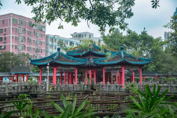 深圳龙园