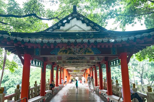 深圳龙园