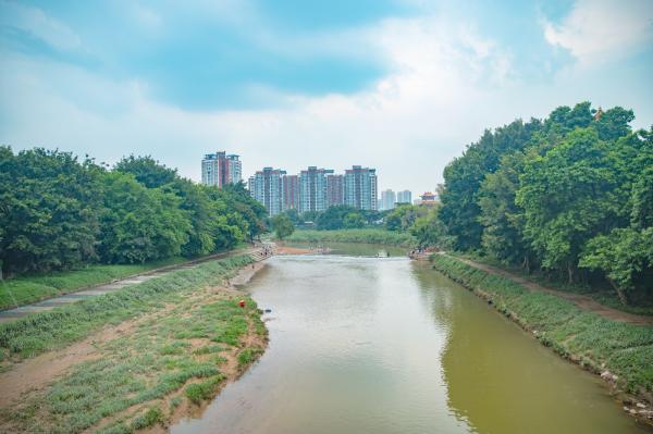 深圳龙园
