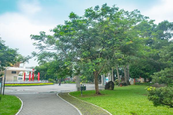 深圳龙园