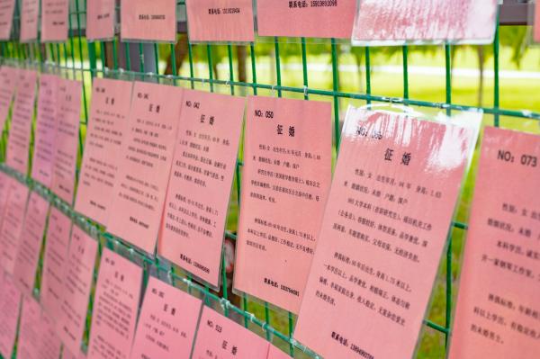 莲花山公园