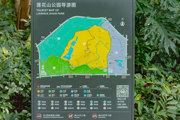 莲花山公园