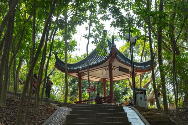 莲花山公园